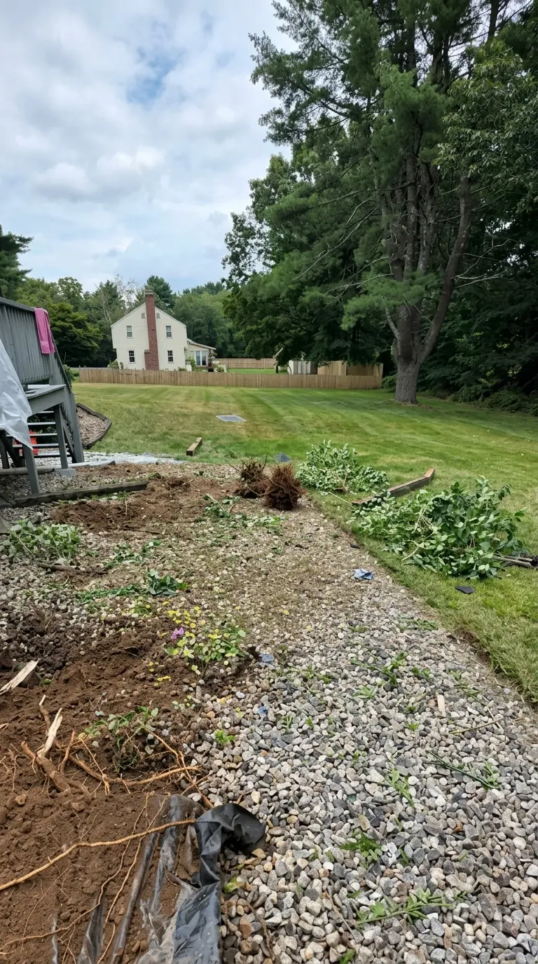 large tree removal Connecticut backyard