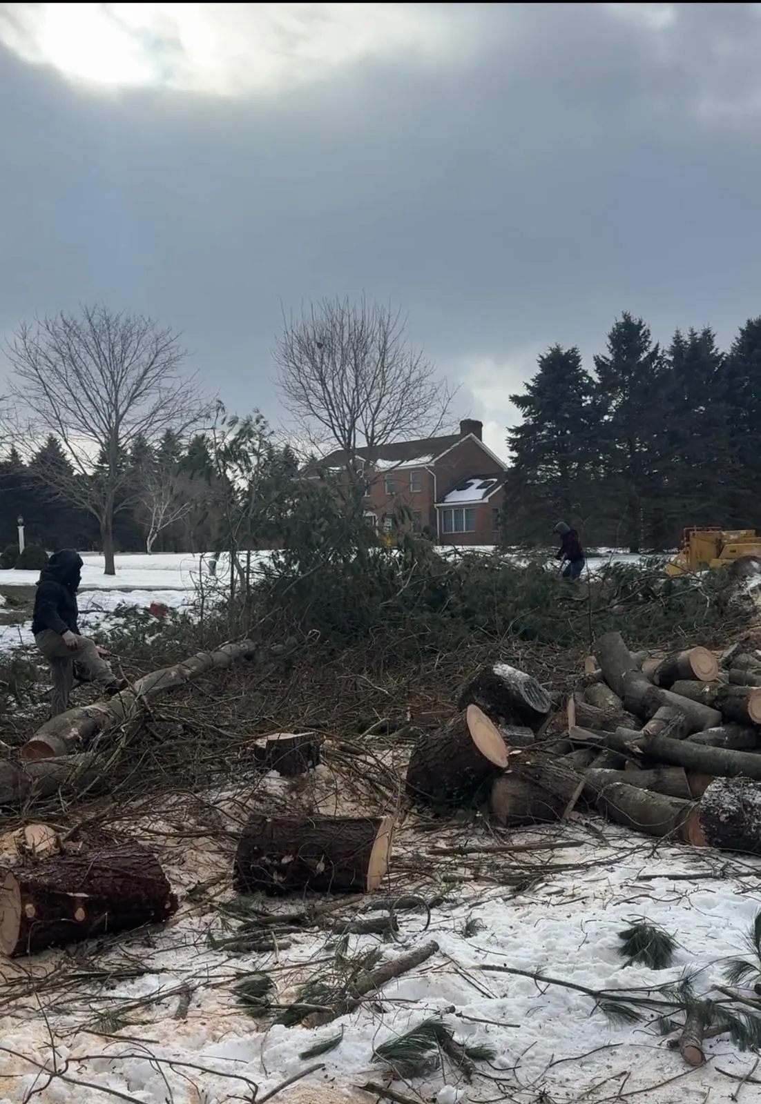 brush and debris removal Connecticut property