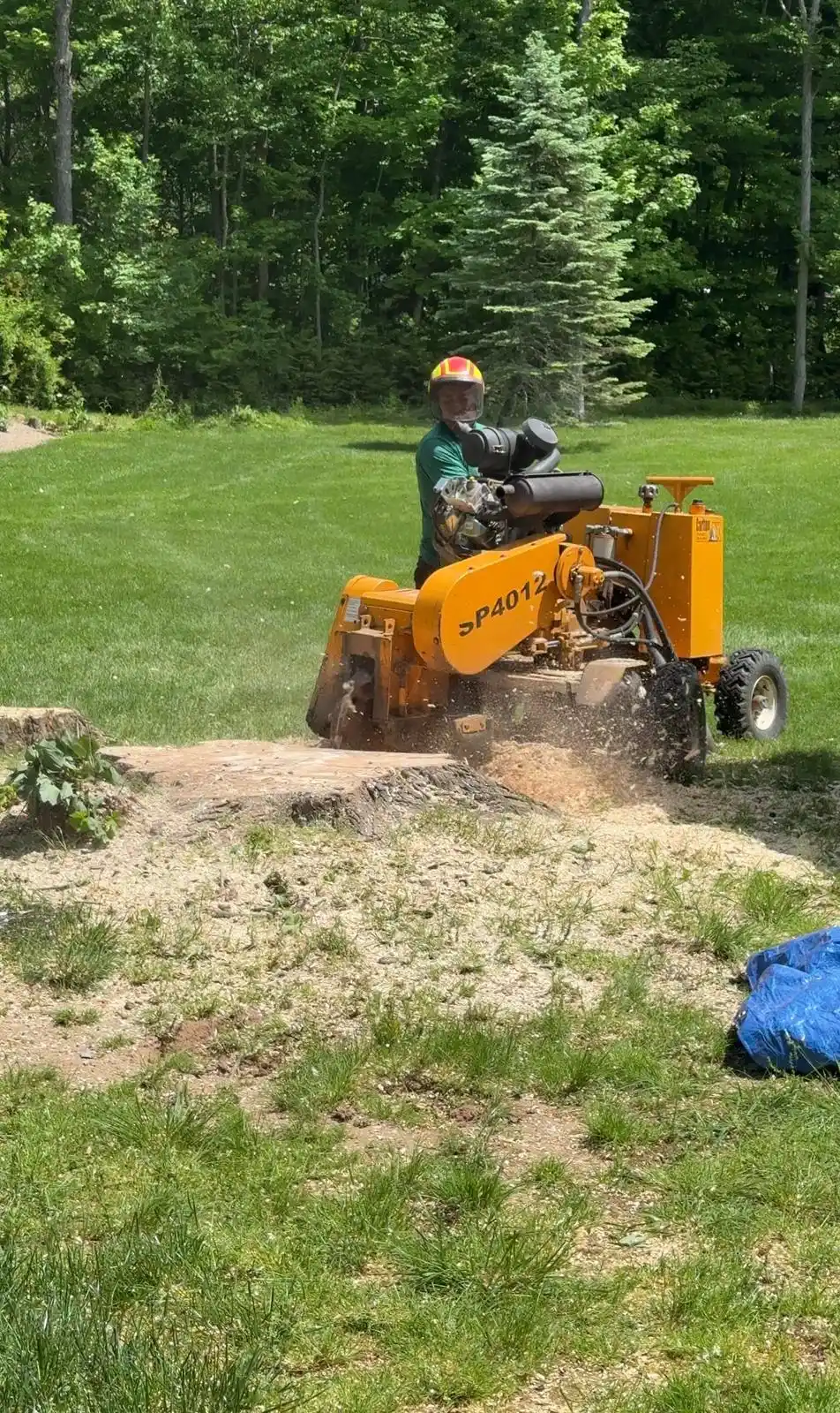 land clearing excavation Connecticut site